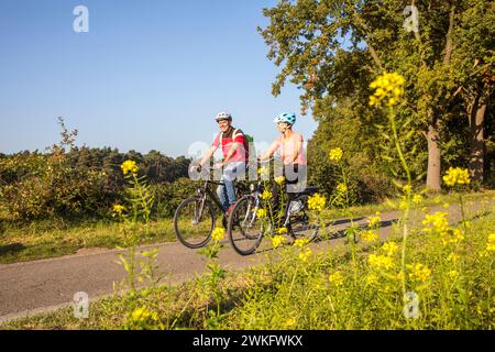 Ciclista, tour in bicicletta nella riserva naturale di Dingdener Heide, brughiere e brughiere, a nord del villaggio di Dingden, appartiene al culto di Hamminkeln Foto Stock