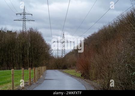 Strada con piloni elettrici nel paesaggio Foto Stock