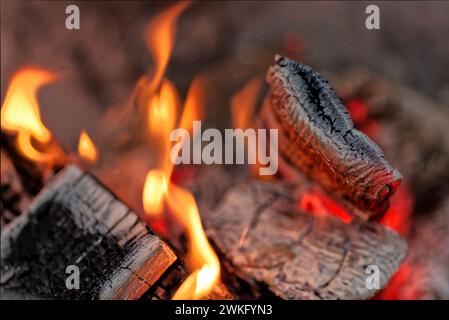 Primo piano di tronchi di legna in fiamme nelle brace rosse Foto Stock