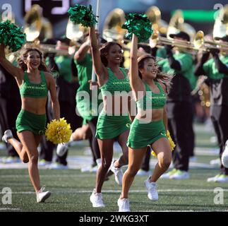 16 settembre 2023 - le cheerleader dell'Oregon durante una partita tra gli Oregon Ducks e gli Hawaii Rainbow Warriors all'Autzen Stadium di Eugene, OPPURE - Michael Sullivan/CSM (immagine di credito: © Michael Sullivan/Cal Sport Media) Foto Stock