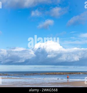 In lontananza, un cane camminatore con indosso un cappotto rosso attraversa Longsands Beach, Tynemouth, cielo blu e sole Foto Stock