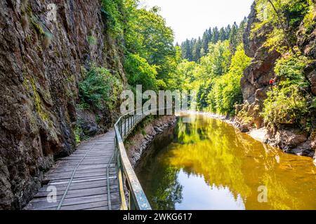Sentiero con ponte di legno sopra il fiume Jizera. Rieger Trail tra Semily e Spalov. Cechia Foto Stock