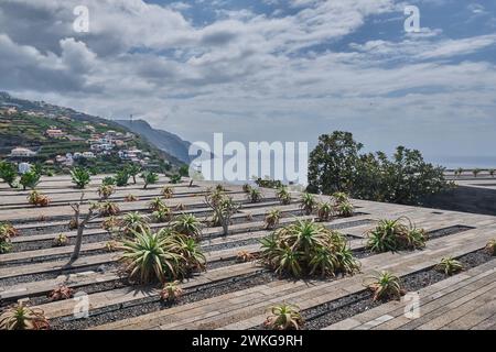 Calheta, il Museo di Madeira Mudas, vedute circostanti Foto Stock