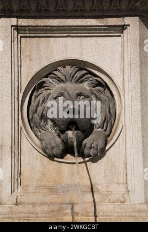 Testa di leone maschio sul monumento della fontana che sputa acqua, Vienna, Austria. Foto Stock