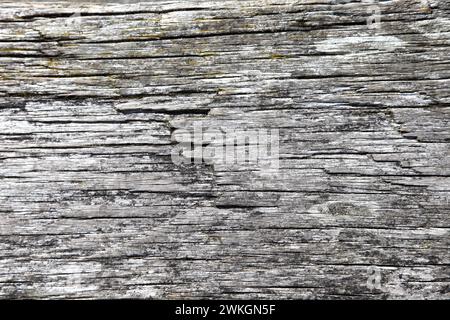 Vecchio sfondo in legno intemprato a Weymouth, Dorset, Inghilterra, Regno Unito Foto Stock