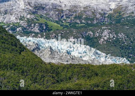 Lingua del Ghiacciaio Pia tra foreste, Parco Nazionale Alberto de Agostini, Avenue of the Glaciers, Artico cileno, Patagonia, Cile Foto Stock