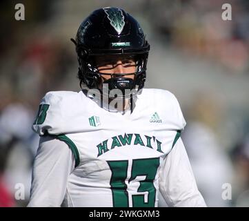 4 novembre 2023 - il quarterback degli Hawaii Rainbow Warriors Brayden Schager n. 13 durante una partita tra Nevada Wolfpack e Hawaii Rainbow Warriors al MacKay Stadium di Reno, Nevada - Michael Sullivan/CSM Foto Stock