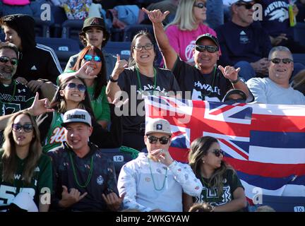 4 novembre 2023 - fan delle Hawaii durante una partita tra i Nevada Wolfpack e gli Hawaii Rainbow Warriors al MacKay Stadium di Reno, Nevada - Michael Sullivan/CSM Foto Stock