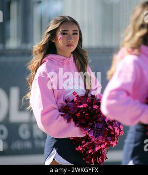 4 novembre 2023 - Una cheerleader del Nevada durante una partita tra i Nevada Wolfpack e gli Hawaii Rainbow Warriors al MacKay Stadium di Reno, NV - Michael Sullivan/CSM Foto Stock