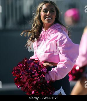 4 novembre 2023 - Una cheerleader del Nevada durante una partita tra i Nevada Wolfpack e gli Hawaii Rainbow Warriors al MacKay Stadium di Reno, NV - Michael Sullivan/CSM Foto Stock