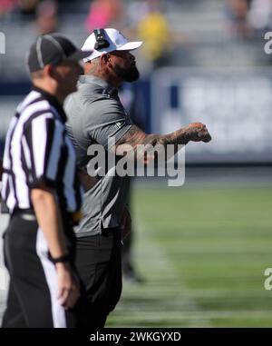 4 novembre 2023 - allenatore delle Hawaii Chris Brown durante una partita tra i Nevada Wolfpack e gli Hawaii Rainbow Warriors al MacKay Stadium di Reno, NV - Michael Sullivan/CSM Foto Stock