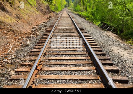 I binari della ferrovia, corridoio Powerdale conservazione terre, Hood River, Columbia River Gorge National Scenic Area, Oregon Foto Stock