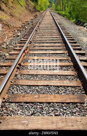 I binari della ferrovia, corridoio Powerdale conservazione terre, Hood River, Columbia River Gorge National Scenic Area, Oregon Foto Stock