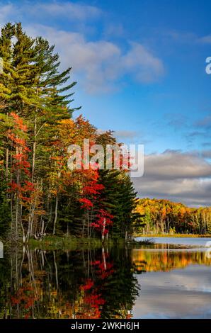 I riflessi dei colori autunnali nell'acqua di questo piccolo lago creano un'atmosfera tranquilla, la Hiawatha National Forest, Alger County, Michigan Foto Stock