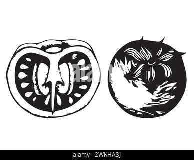 Pomodori interi e tagliati a metà. Disegno a mano. Grafica. Illustrazione vettoriale isolata su sfondo bianco. Illustrazione Vettoriale