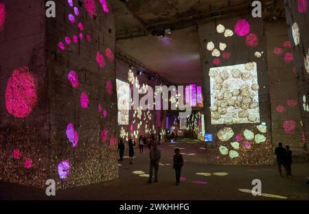 Carrières de Lumiéres, Centre d'art numérique projetant des Expositions immersives, Les Baux-de-Provence, Bouches-du-Rhône, Provence-Alpes-Côte d'Azur Foto Stock