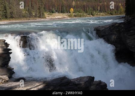 Athabasca Falls è una spettacolare cascata ad appena 24 metri di altezza su alcune rocce di quarzite nel Jasper National Park in Alberta in Canada Foto Stock
