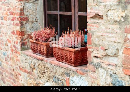 Vaso di fiori di argilla pieno di viola con erica viola su davanzale piastrellato di una piccola vecchia casa di mattoni distrutti. Monteriggioni, villaggio italiano. Foto Stock