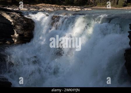 Athabasca Falls è una spettacolare cascata ad appena 24 metri di altezza su alcune rocce di quarzite nel Jasper National Park in Alberta in Canada Foto Stock