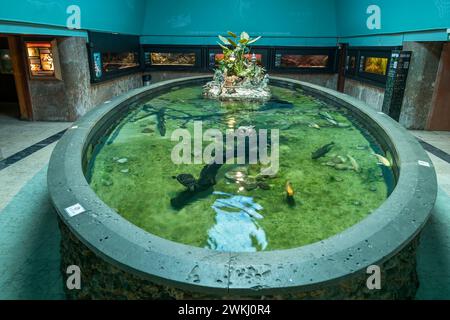 Interno dell'acquario Vasco da Gama ad Alges, quartiere di Lisbona, Portogallo. Museo storico acquario aperto nel 1898, uno dei più antichi al mondo. Foto Stock