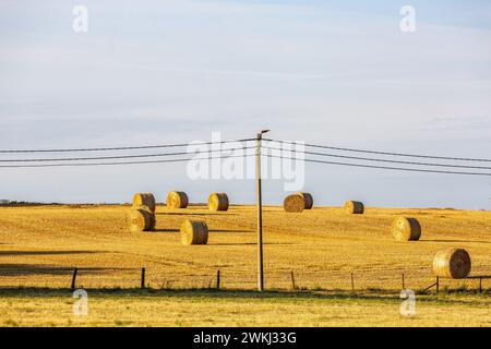 Rotoli di paglia in un campo accanto a una strada. Traliccio elettrico e cavi Foto Stock