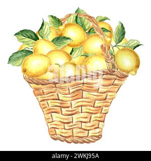 Composizione di limoni con foglie verdi in cestello di vimini. Illustrazione ad acquerello disegnata a mano, agrumi succosi dell'estate, frutta. Modello di stampa isolato per Foto Stock