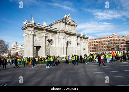 Dimostrazione degli agricoltori spagnoli a Madrid Una visione generale di Puerta de Alcala durante la manifestazione degli agricoltori a Madrid la protesta, organizzata dai sindacati spagnoli, è incentrata sulle preoccupazioni per la concorrenza sleale da parte di prodotti provenienti da paesi terzi. Gli agricoltori sono anche infelici per gli scarsi profitti derivanti dalle loro colture e criticano la politica agricola dell'Unione europea. Madrid Puerta de Alcala Madrid Spagna Copyright: XAlbertoxGardinx AGardin 20240221 manifestacion tractores madrid 013 Foto Stock