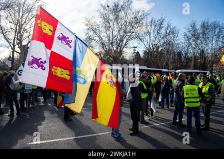 Dimostrazione degli agricoltori spagnoli a Madrid Un gruppo di manifestanti con le bandiere regionali spagnole osservate durante la manifestazione degli agricoltori a Madrid la protesta, organizzata dai sindacati spagnoli, è incentrata sulle preoccupazioni per la concorrenza sleale da parte di prodotti provenienti da paesi terzi. Gli agricoltori sono anche infelici per gli scarsi profitti derivanti dalle loro colture e criticano la politica agricola dell'Unione europea. Madrid Puerta de Alcala Madrid Spagna Copyright: XAlbertoxGardinx AGardin 20240221 manifestacion tractores madrid 028 Foto Stock