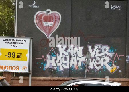 Graffiti locali a Türkiye Foto Stock