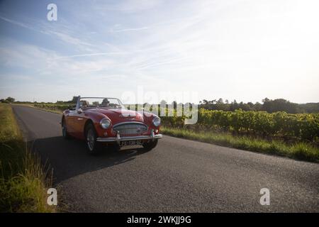 voitures anciennes en charente Foto Stock