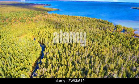 Vista aerea della foresta autunnale e del Blue Lake a Kitch-iti-kipi, Michigan Foto Stock