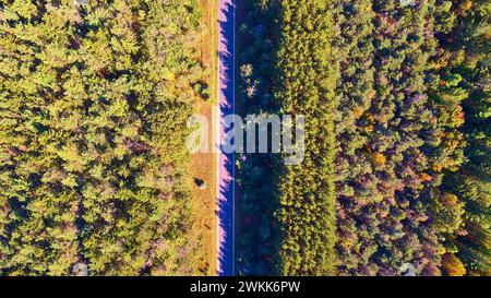 Aerial Top Down Autumn Road attraverso la vibrante Michigan Forest Foto Stock