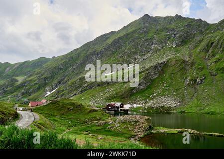 Transfagarasan attraverso i monti Fagaras con vegetazione verde e lago Balea Foto Stock