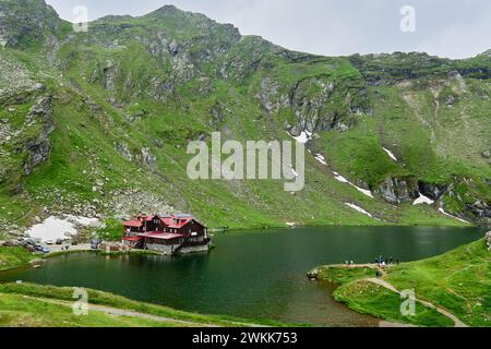 Transfagarasan attraverso i monti Fagaras con vegetazione verde e lago Balea Foto Stock