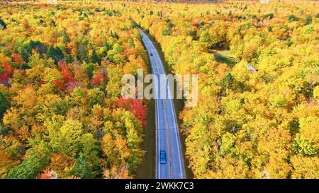 Aerial Autumn Drive attraverso la Michigan Forest Foto Stock