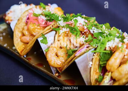 Taco di gamberi gourmet con cornici fresche, vista dall'alto Foto Stock