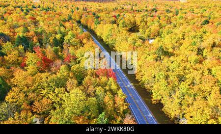Vista aerea della strada panoramica d'autunno attraverso la foresta colorata Foto Stock