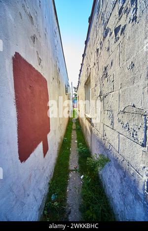 Urban Alley illuminato dal sole con pareti e vegetazione testurizzata, Fort Wayne Foto Stock