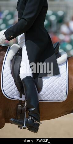 Primo piano di un dressage maschile che mostra la gamba e la posizione del sedile adeguate vestiario con code brezze bianche o jodhpurs e stivali alti Foto Stock