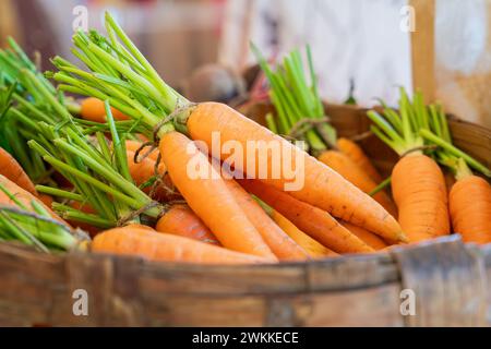 Un mazzo di carote nel cestello. Mazzetto di carote fresche. Carote biologiche fresche. Foto Stock