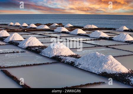 Saltworks, Salinas de Fuencaliente, la Palma, Isole Canarie, Spagna Foto Stock