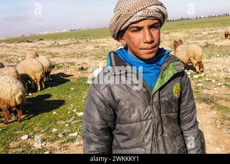 Siria, dintorni di Tadmor, allevatore siriano di pecore Foto Stock