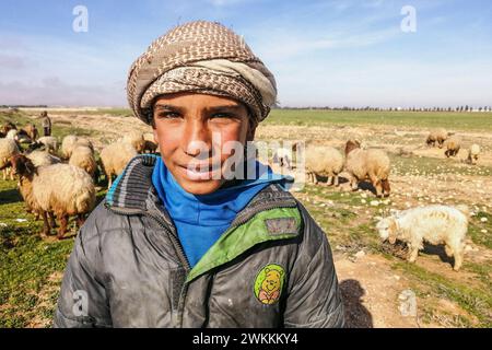 Siria, dintorni di Tadmor, allevatore siriano di pecore Foto Stock