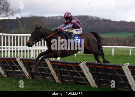 Monks Meadow cavalcato da Tom Bellamy sulla strada per vincere il Suzuki ATV UK Ludlow Maiden hurdle all'ippodromo di Ludlow. Data foto: Mercoledì 21 febbraio 2024. Foto Stock