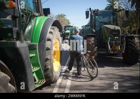 Malaga, Spagna. 21 febbraio 2024. Un uomo cammina con la sua bicicletta mentre i trattori bloccano una strada durante una manifestazione degli agricoltori contro la politica agricola europea e per migliorare le condizioni di lavoro. Centinaia di trattori hanno bloccato le strade principali della città per protestare chiedendo un'azione contro gli elevati costi di produzione e la concorrenza sleale da parte dei paesi extraeuropei. (Foto di Jesus Merida/SOPA Images/Sipa USA) credito: SIPA USA/Alamy Live News Foto Stock