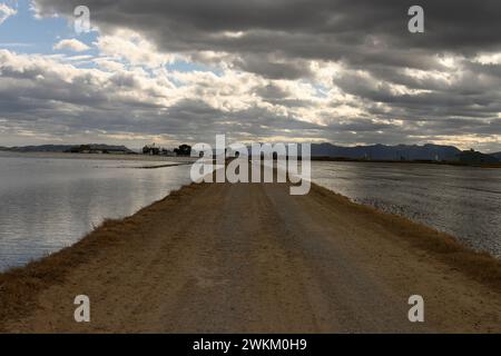 Nuvole minacciose sorvolano un sentiero sereno che attraversa risaie allagate nella Albufera Valencia, con montagne sullo sfondo. Foto Stock