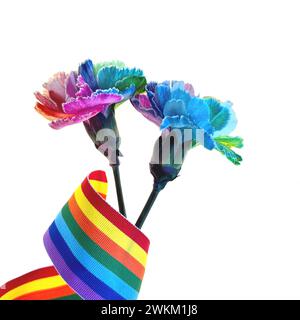 Due vivaci garofani multicolore con nastro arcobaleno e la parola "Love" isolata su sfondo bianco Foto Stock