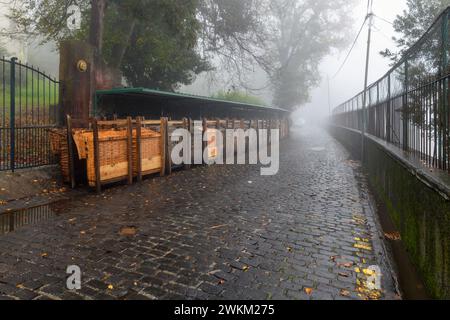 Slittino in vimini in fila contro un muro lungo le strade acciottolate bagnate in una giornata di nebbia piovosa nel quartiere Monte di Funchal Madeira Portugul Foto Stock