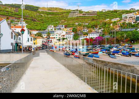 Piccole e colorate barche da pesca con linea blu, gialla e rossa, il piccolo porto turistico presso il piccolo villaggio di pescatori di Câmara de Lobos, Madeira, Portogallo Foto Stock
