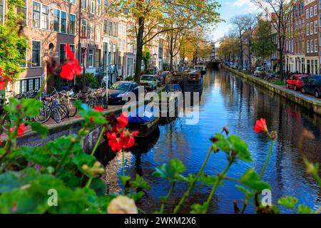 Amsterdam, Nedherlands - 5 novembre 2017: Skyline del centro città con case in mattoni e barche. Famoso punto di riferimento della vecchia città europea in autunno. Foto Stock